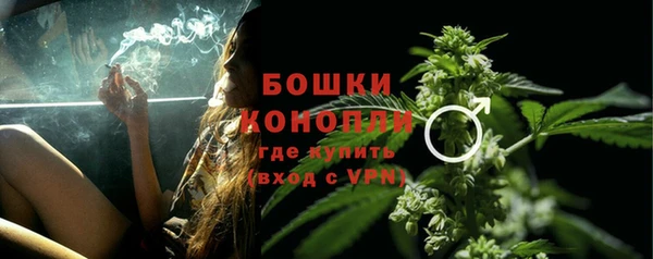 MESCALINE Аркадак